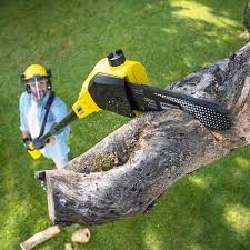 Lawn Edging in Rio Communities, NM